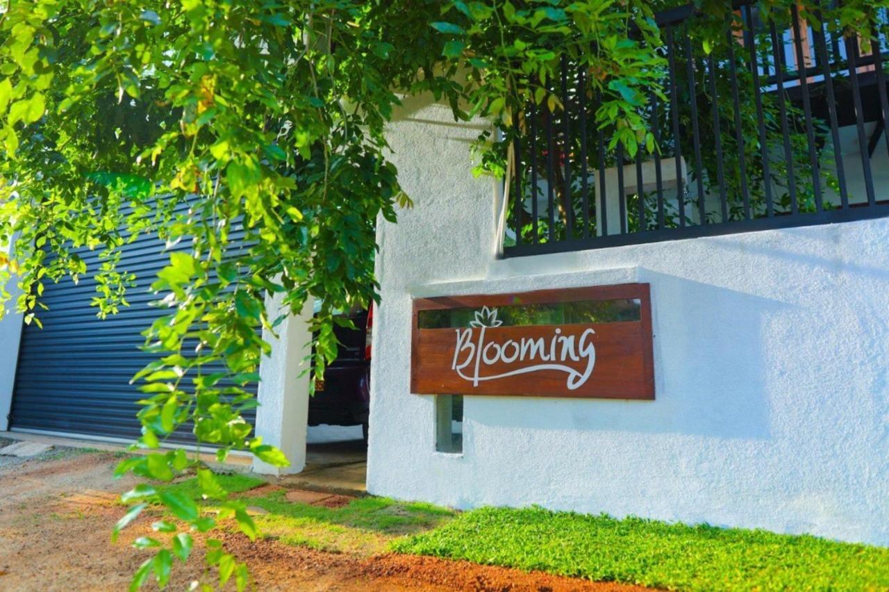 Blooming Holiday Resort 阿努拉德普勒 外观 照片